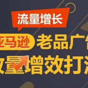 亚马逊老品广告放量增效实操打法 可实现短期广告销量翻倍-雨叶虚拟资源网