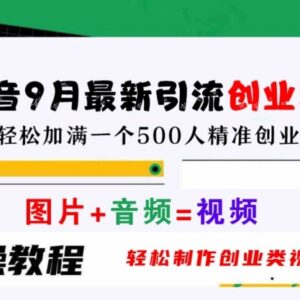 2024年9月抖音创业粉引流实操方法 低门槛创业类视频制作教程-雨叶虚拟资源网