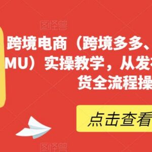 TEMU跨境电商实操教学 从商品发布到发货全流程指南-雨叶虚拟资源网