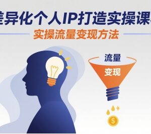 差异化个人IP打造实操课程 从账号搭建到流量变现全指南-雨叶虚拟资源网