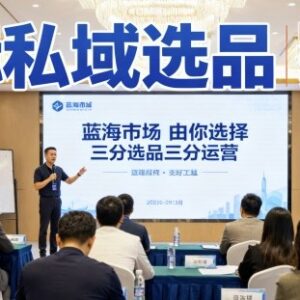 国际私域选品实战课 跨境蓝海市场选品全流程技巧教学-雨叶虚拟资源网