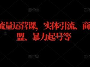 2024实体流量运营课 含实体引流招商加盟新手起号实操内容-雨叶虚拟资源网