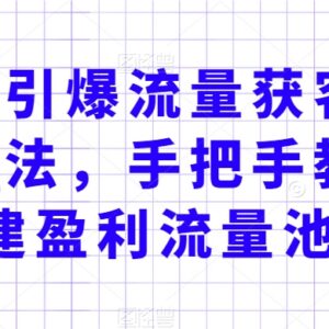 实体店流量获客实操方法 手把手搭建盈利流量池实现客群渠道双裂变-雨叶虚拟资源网
