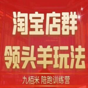 淘宝店群领头羊玩法详解 涵盖精细化运营终极蓝海尾销技巧-雨叶虚拟资源网