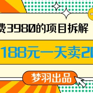售价3980的龙年高转化赚钱项目拆解 单客价188成交率可达80%-雨叶虚拟资源网