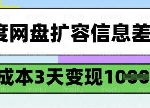 百度网盘扩容信息差零成本项目 新手3天变现千元实操全流程-雨叶虚拟资源网