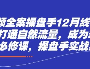 短视频全案操盘手12月线下课 打通自然流量打造现象级IP指南-雨叶虚拟资源网