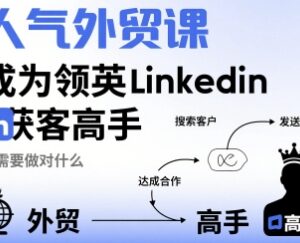 领英Linkedin外贸获客系统课程 从零入门进阶获客高手实操指南-雨叶虚拟资源网