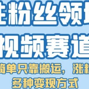 女性粉丝向短视频搬运赛道玩法解析 低门槛涨粉多途径变现-雨叶虚拟资源网
