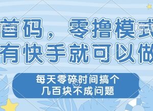快手可参与的无门槛零撸项目 空闲时间做任务赚零花钱教程-雨叶虚拟资源网
