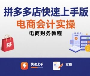 拼多多店铺电商会计实操教程 财务报表编制全流程教学-雨叶虚拟资源网