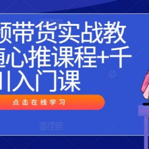 2024短视频带货实战教程 千川入门+随心推实操全课程-雨叶虚拟资源网