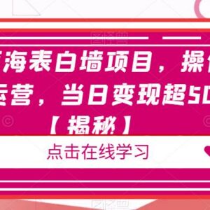 校园蓝海表白墙项目怎么做?低门槛轻运营可快速稳定变现-雨叶虚拟资源网