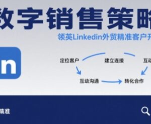 领英LinkedIn外贸精准客户开发 数字化销售策略实操教程-雨叶虚拟资源网