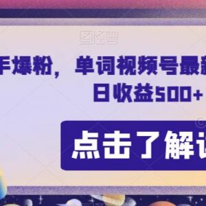快手爆粉与单词视频号最新进阶玩法 零门槛操作可实现日收益500+-雨叶虚拟资源网