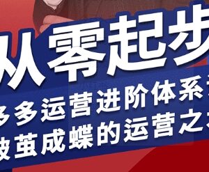 2024-2025拼多多运营进阶系统课 从零起步到盈利全流程实操教程-雨叶虚拟资源网