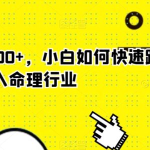 零基础小白跨入命理行业全攻略 操作简单可实现日入1000+-雨叶虚拟资源网