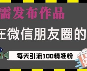微信视频号免发作品引流实操教程 单日可获100+精准创业粉-雨叶虚拟资源网