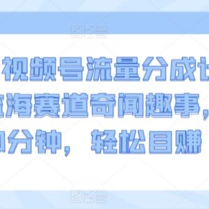 2024视频号流量分成计划 冷门监海奇闻赛道低门槛赚收益指南-雨叶虚拟资源网