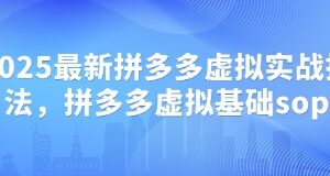 2025最新拼多多虚拟店铺运营实战打法 附全流程基础SOP-雨叶虚拟资源网