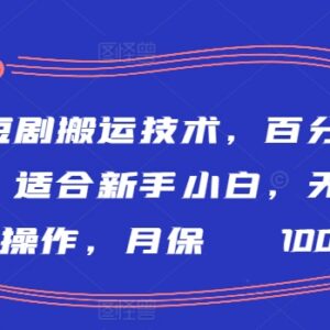 短剧搬运百分百过原创实操教程 新手易操作低门槛副业指南-雨叶虚拟资源网