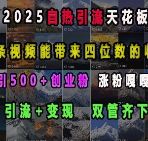 2025短视频创业粉引流实操教程 引流变现双路径日引500+精准粉-雨叶虚拟资源网