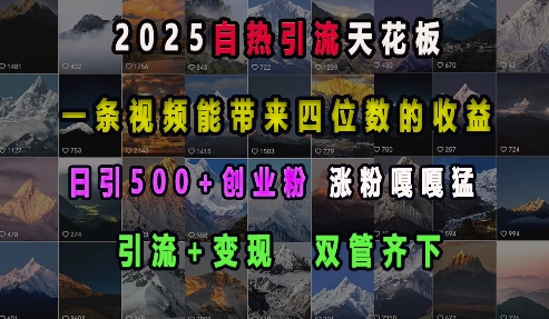 2025短视频创业粉引流实操教程 引流变现双路径日引500+精准粉