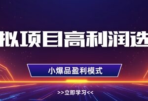 虚拟项目高利润选品方法教学 单店盈利破万可多店复制倍增-雨叶虚拟资源网