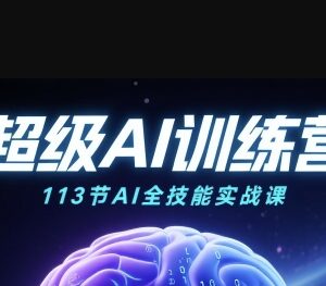 113节AI全场景实战课程 覆盖绘画带货职场多领域技能-雨叶虚拟资源网