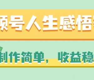 视频号人生感悟赛道运营攻略 制作简单收益稳定玩法拆解-雨叶虚拟资源网