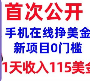 0门槛在线赚美金实操教程 新手可上手的稳定被动收入操作指南-雨叶虚拟资源网
