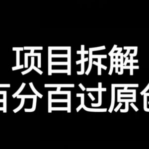 项目拆解赛道百分百过原创实操方法揭秘 附配套资源下载地址-雨叶虚拟资源网