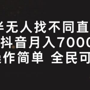 半无人抖音找不同直播项目解析 低门槛操作全民可做月入7000+-雨叶虚拟资源网