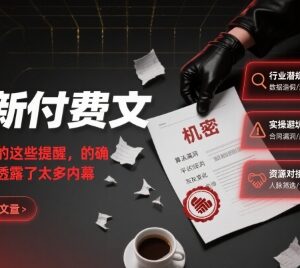 最新付费深度文:行业变局背后的财富机遇与核心内幕提醒-雨叶虚拟资源网