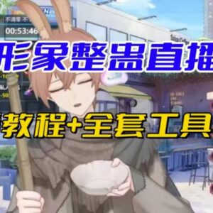 抖音虚拟形象无人直播整蛊砸礼物玩法教程 附开播指导及全套工具-雨叶虚拟资源网