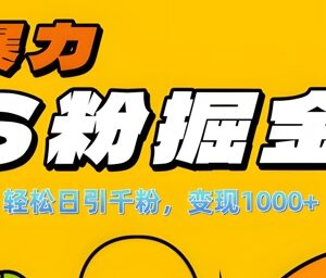 2024S粉流量掘金计划攻略 单人单机日引千粉变现千元指南-雨叶虚拟资源网