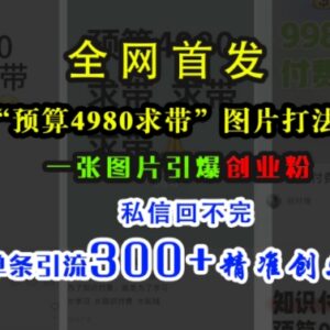 小红书「预算4980带我飞」图片打法 单条引流300+精准创业粉教程-雨叶虚拟资源网
