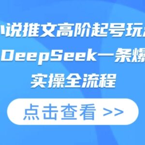 2025AI小说推文高阶起号 MJ+DeepSeek爆款玩法实操全流程-雨叶虚拟资源网