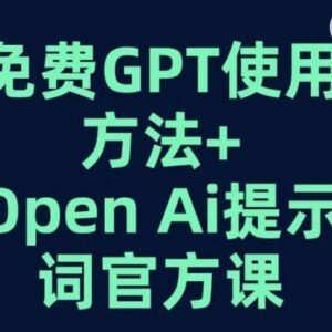 免费GPT及OpenAI提示词官方课程 含吴恩达提示工程师教学内容-雨叶虚拟资源网