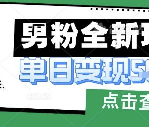 2025男粉变现项目实操教程 小白低门槛易上手可月入过万-雨叶虚拟资源网