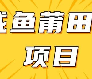 2025闲鱼高转化莆田鞋项目实操教程 附稳定货源获取渠道-雨叶虚拟资源网