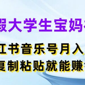 大学生宝妈暑假可做副业 小红书音乐号复制粘贴月入5000+玩法-雨叶虚拟资源网