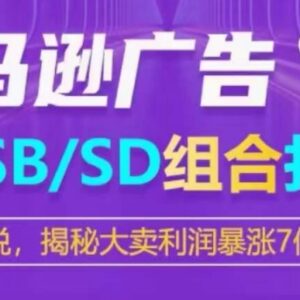 亚马逊SP/SB/SD广告组合打法详解 大卖利润暴涨7倍实操策略-雨叶虚拟资源网