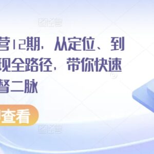 小红书第12期训练营 从定位起号到爆款变现全流程教学-雨叶虚拟资源网