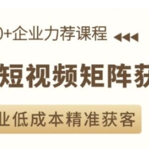 AI短视频矩阵获客实操课 企业低成本精准获客全攻略-雨叶虚拟资源网