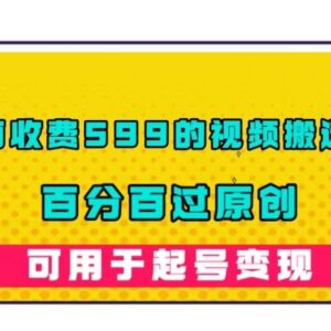 收费599的纯手法视频搬运过原创教程 可用于账号起号变现-雨叶虚拟资源网