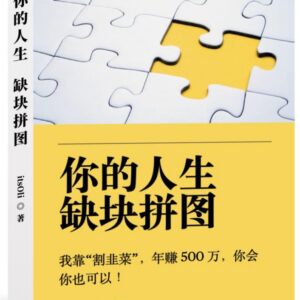 高赞赚钱电子书《你的人生，缺块拼图》年赚500万方法分享-雨叶虚拟资源网