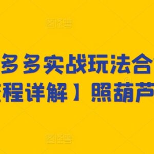 2024拼多多从0到1全流程实战玩法 新手开店运营教程合集-雨叶虚拟资源网
