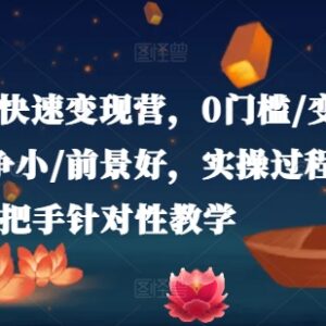 小说推广变现全流程实操课程 0基础可学快速掌握变现技巧-雨叶虚拟资源网