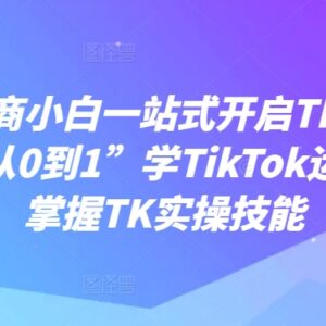 2024TikTok跨境电商运营从0到1全教程 小白入门实操指南-雨叶虚拟资源网